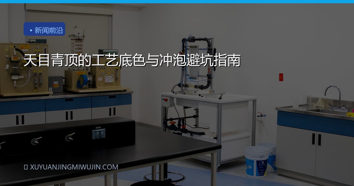天目青顶的工艺底色与冲泡避坑指南